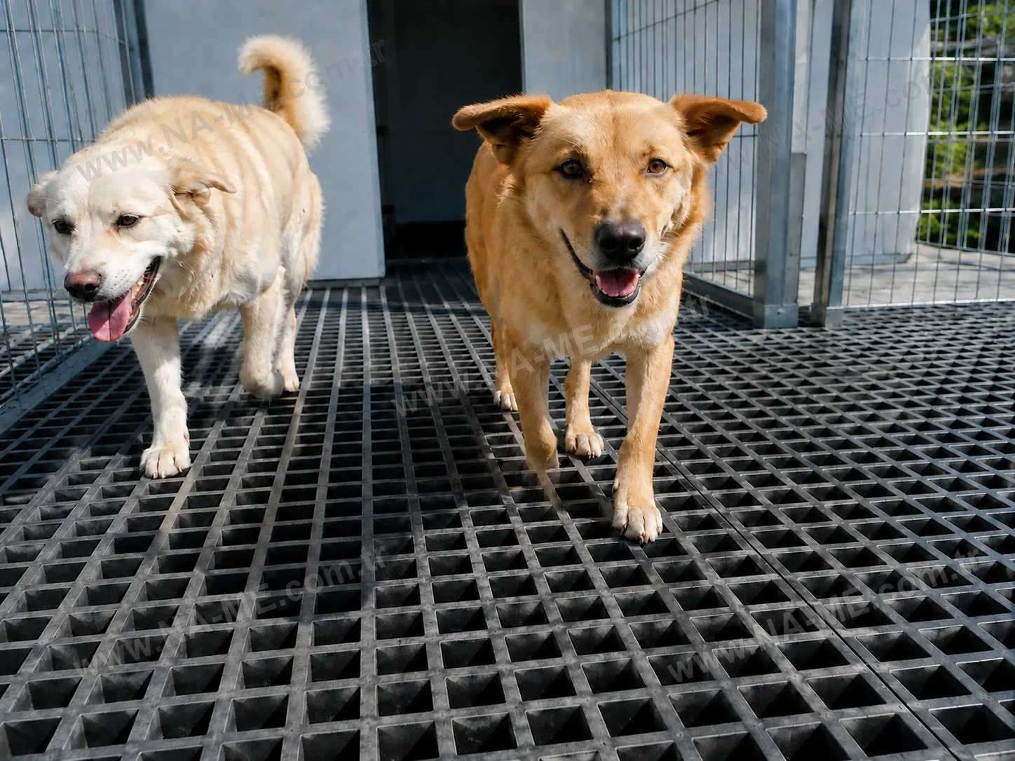 Köpek barınağında siyah CTP kompozit ızgara zemin