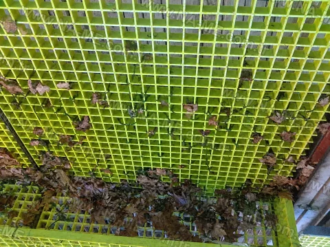 Underside of green grating used as a screen or filter